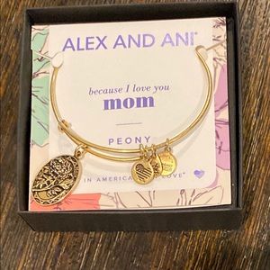 Alex and Ani Bracelet